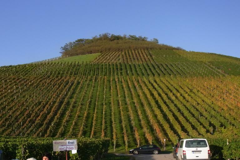 ausflug 2018   (13)