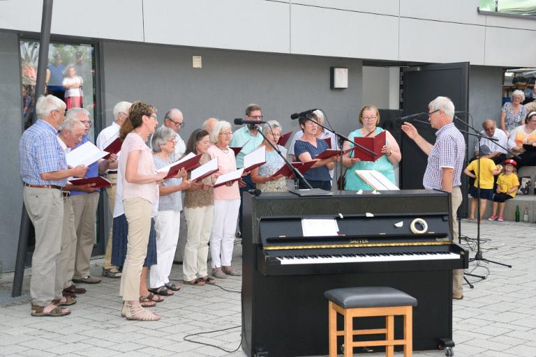 Sommerserenade  (14)
